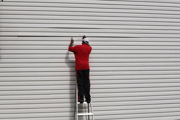 Affordable siding repair and maintenance services in Morton, IL